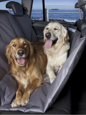 two-dogs-car-seat